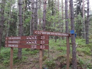 Vägskäl i Sibbo storskogs nationalpark: Stigen till Kalkbruket skiljs från Bakunkärrsrundans stig.
