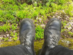 Picture of shoes suitable for walking in the forest.