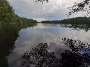 Fiskträsket i Sibbo storskogs nationalpark.