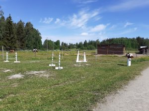 Kaskela petting zoo's stick horse track.