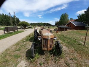 Traktorn på Kaskela smådjursgård samt hästhagen, käpphästbanan och picknickborden i bakgrunden.