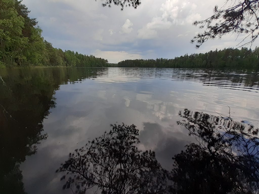 Fiskträsket Sipoonkorven kansallispuistossa.