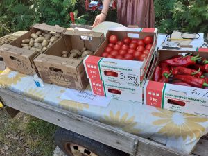 Perunoita, tomaatteja ja paprikoita myynnissä Simsalö-päivän kesätorilla.