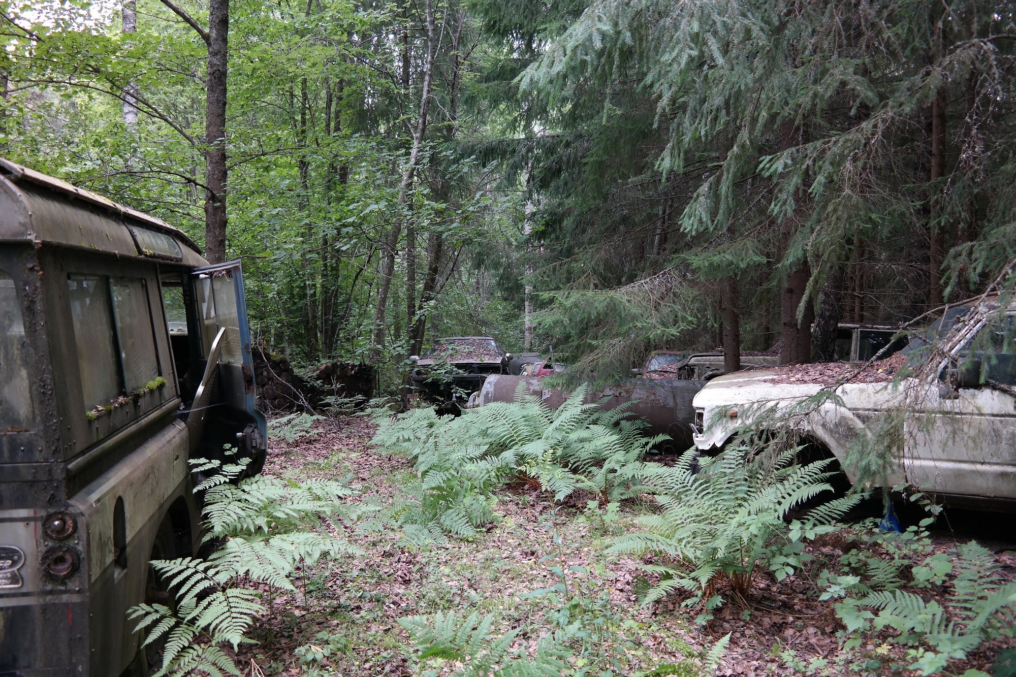 Eri mallisia hylättyjä autoja sammaleen ja lehtien peitossa metsässä