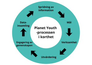 Planet Youth-processen i korthet.